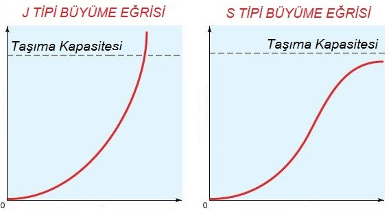 11.-sinif-biyoloji-sayfa-232.jpg