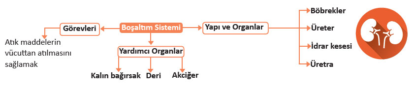 bosaltim-sistemi.jpg