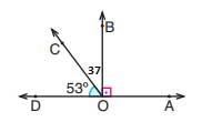 6-sinif-ogun-matematik-sayfa-236-6-soru.jpg