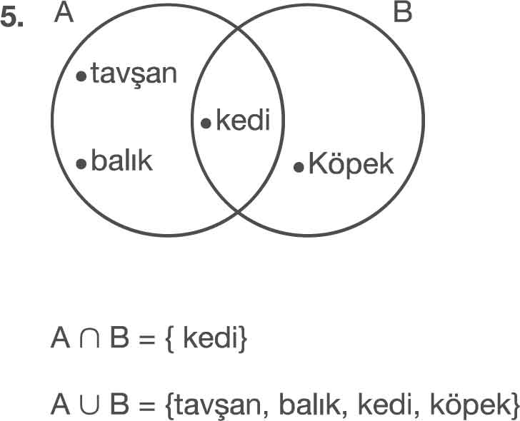 6-sinif-enguru-sayfa-52-5-soru.jpg