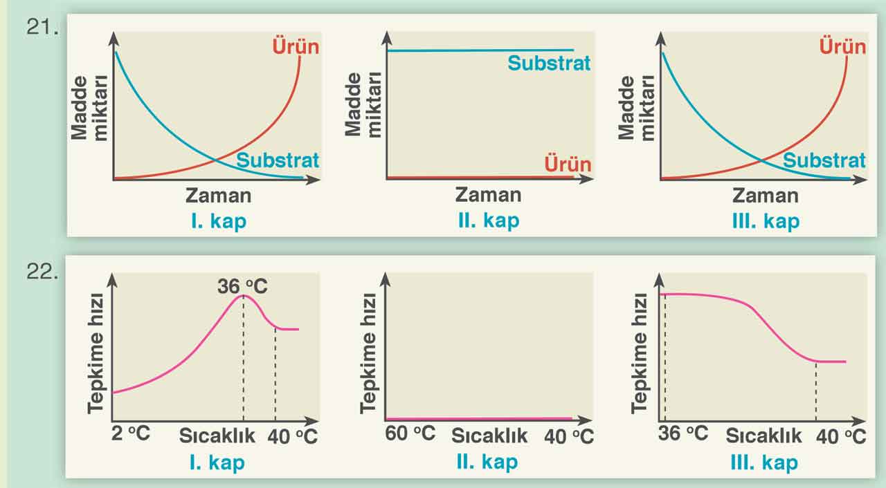 9-sinif-meb-biyoloji-sayfa-77.jpg