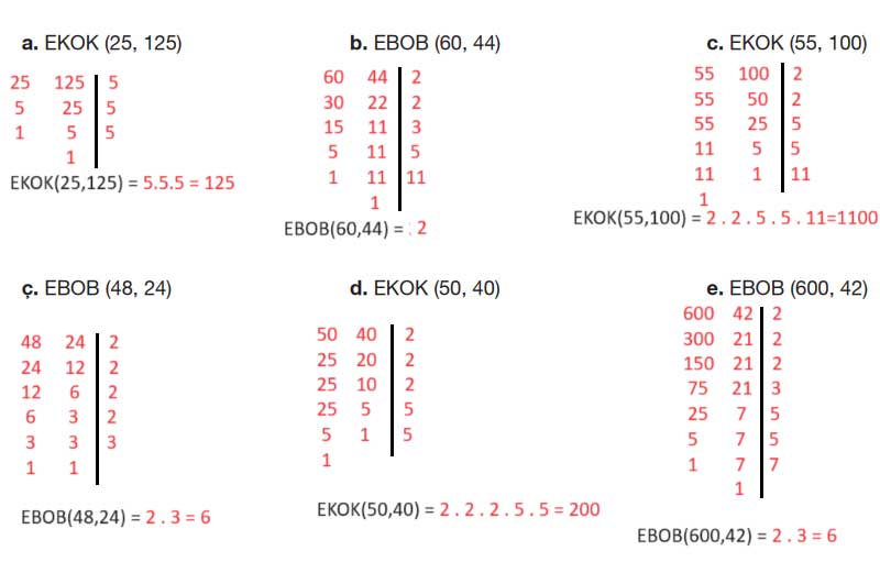8-sinif-berkay-matematik-sayfa-53-6-soru.jpg