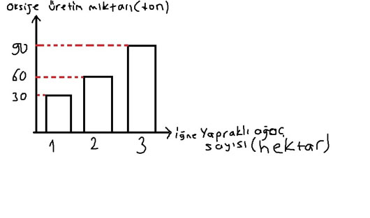 8.-sinif-matematik-202.-sayfa-1.-soru-cevabi.jpg